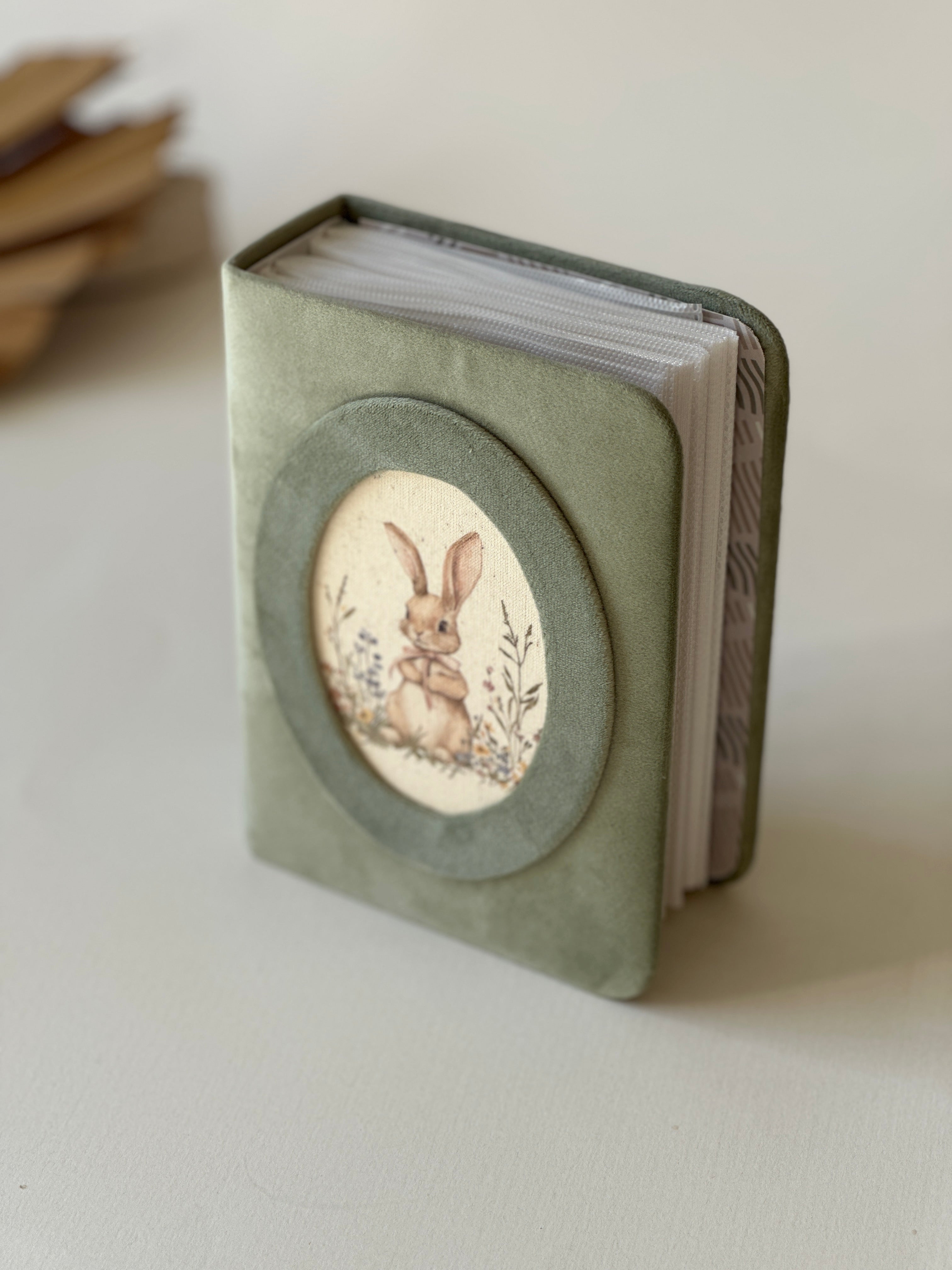 Nuotraukų albumas “Little Bunny”